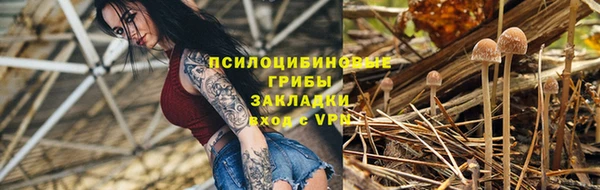 a pvp Аркадак