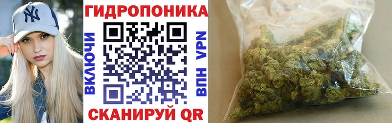 OMG ONION  Балашов  Шишки марихуана план  купить закладку 